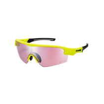 Lion King View SWANS Professional Riding Glasses Outdoor Mountain Bike Goggles Polarized Sunglasses Sports Sunglasses