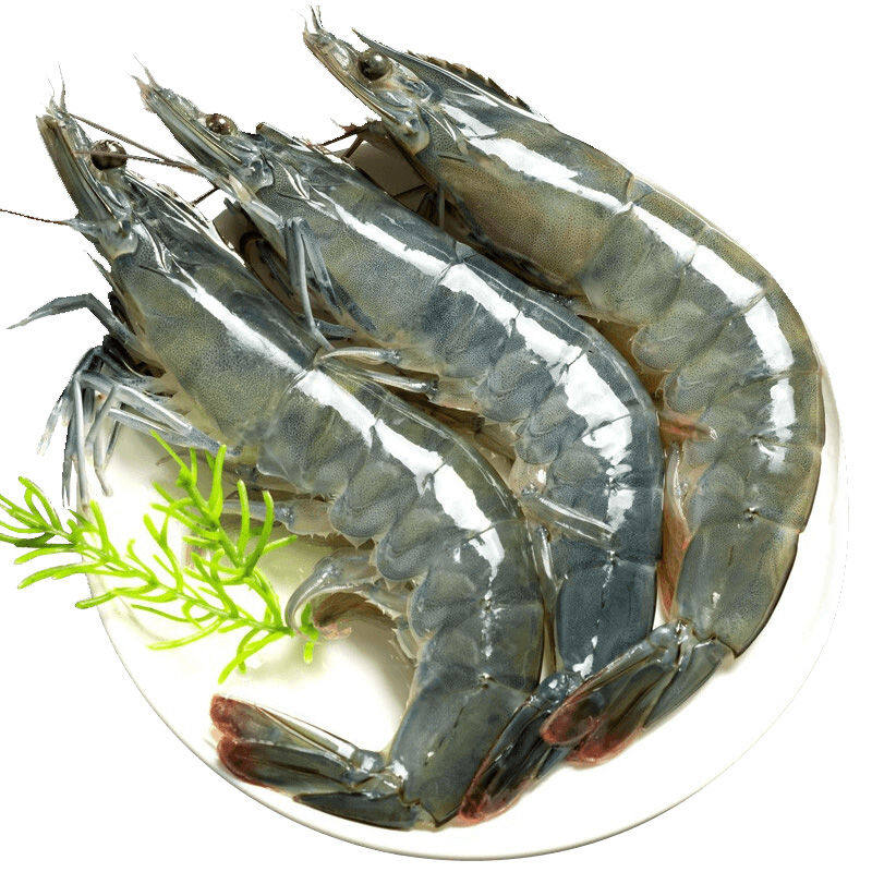 Fresh shrimps, quick-frozen fresh Qingdao prawns, extra large frozen prawns, extra large prawns, sea green shrimps, seafood and aquatic products