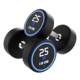 PEV pure steel dumbbells, odor-free and dedicated for fitness