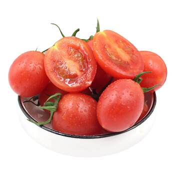 Freshly picked open-air millennium rock candy cherry tomatoes