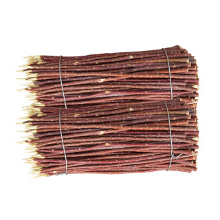 Xinjiang red willow barbecue skewers, red willow sticks on skewers, saline-alkali land red willow skewers 35 40 45