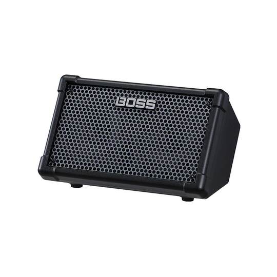 Roland Professional Guitar Speaker