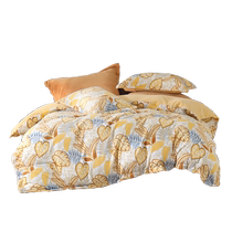 Mercury Home Textiles Antistatic Milk Velvet Four-piece Set Thickened Warm Velvet Set Autumn and Winter Warm Sheets and Quilt Covers 24 New Products