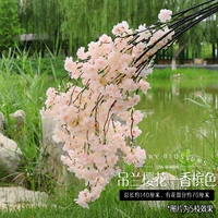 Hanglan Cherry Blossom Champagne Color