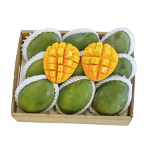 Sichuan Panzhihua Kates fresh mango 10 pounds in season extra large fruit green peel mango super sweet origin straight hair