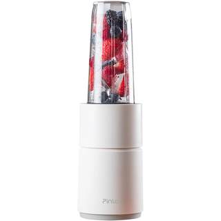 Pinlo multi-function light sound processor