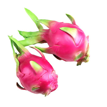 Plastic ornament cabinet enlightenment teaching aids simulation fruit Plastic ornament cabinet enlightenment teaching aids simulation fruit