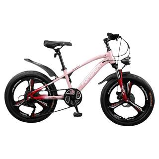 The ever popular flagship student bike