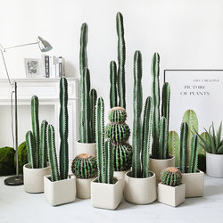 Nordic simulation cactus measuring ruler potted fake green plant cactus tropical plant shop window decoration ornaments