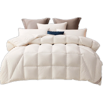 Rolaie Home Textile A anti-mite chaude suède 95 oie blanche vers le bas par un duvet par un seul double ressort et une courtepointe dautomne par une courtepointe dhiver