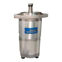 Hefei Wanye CBTLDF-F316 F310-AL4Z1 hydraulic gear oil pump pressure double oil pump PLP20