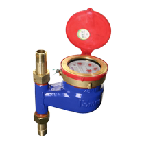 Amico vertical hot water meter LXSLR-E 089 iron shell rotor wet bottom water inlet household mechanical digital meter