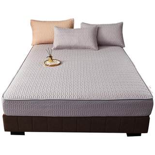 2025年新款六面全包拉链床笠罩席梦思床垫保护套床罩防水加厚防滑