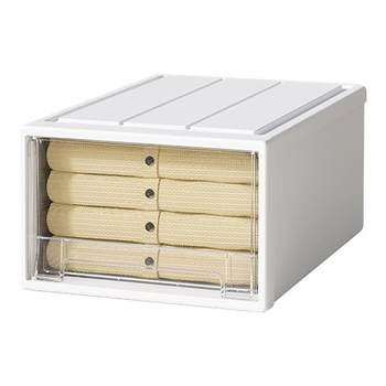 Lingerie and pantyhose partition storage box