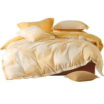 Mercury Home Textiles Thickened Warm Velvet Four-piece Antistatic Milk Velvet Set Winter Warm Quilt Cover Sheets 24 New Products