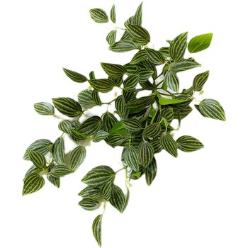 Hanging bamboo plum diamond jade high simulation small wall hanging float Hanging bamboo plum diamond jade high simulation small wall hanging float