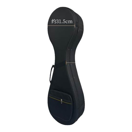 乐海成人款琵琶专用琴盒防震轻体盒手提可背琵琶保护盒