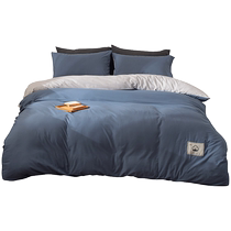 Quilt core two-in-one spring and autumn quilt machine washable complete set childrens single 4 catties air-conditioned quilt winter quilt thick 3