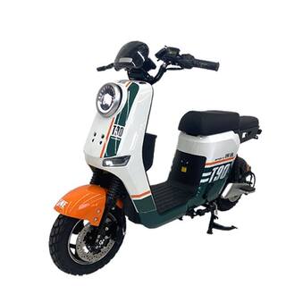 新新国标深远T90-GB经典国标版新国标锂电池电动车外卖版