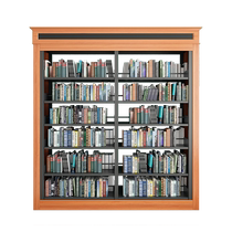 Customized steel-wood combined bookshelf library single and double-sided storage display rack Sisyphus Bookstore steel solid wood bookcase