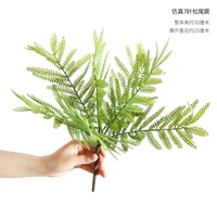 Моделирование 7-лиженно-соснового хвоста папоротника