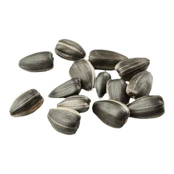 Parrot Small Melon Seeds Snacks Bird Food Feed Oil Sunflower Black Phoenix Peony Tiger Skin Special Training Reward Supplies