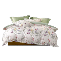 Mercury Home Textiles 100% Cotton Four-piece Set 100% Cotton Set Printed Quilt Cover Sheet Home Double Bedding 24 New Products