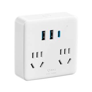 Converter wall plug bull charger