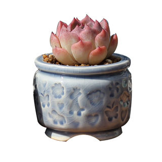 Value-for-money flower pot package medical stone flower pot stoneware breathable