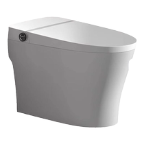 Wanhe 3498 smart toilet fully automatic home smart spray siphon seat heating no water pressure limit new model