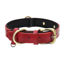 Dog collar with engraving anti-lost dog collar leather cat collar cat tag dog tag small and medium-sized dog collar pet collar