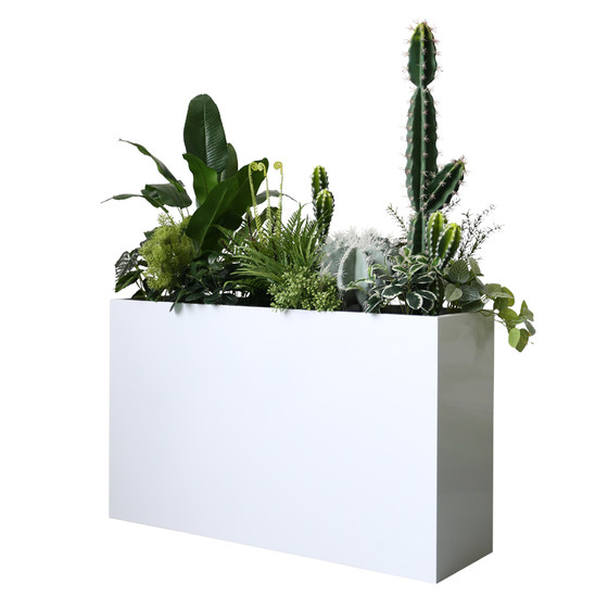 Simulated cactus tropical sand plant flower box decoration