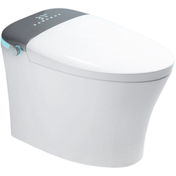 Enshi Smart Toilet Fully Automatic Flip Cover No Water Pressure Limitation Integrated Household Instant Heating Toilet with Water Tank X3