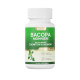 St. Cook's Bacopa Monnieri Memory Capsules ສໍາລັບເດັກນ້ອຍ ແລະນັກຮຽນ Memory Focus 30 Capsules/Bottle
