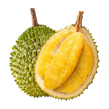 Shiboshi malaysia d197 musang king durian