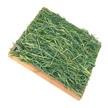 Timothy makes hay for pets only