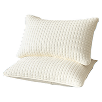 2024 New Anti-Dool Anti-head Oil Cooling Pillow Cases Pair 48cmx74cm Pillow Cases Summer Ice Silk Children 3