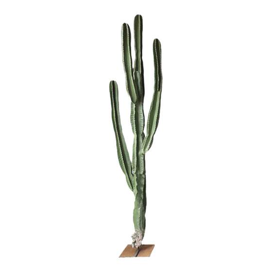 Nordic measuring cactus simulation cactus landscaping