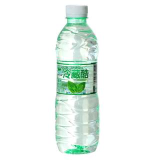 Chilled Cool Mint Water Refreshing Beverage Bottled Drinking Water