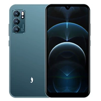 Донг Тинцин