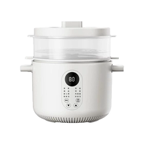 Electric stew pot household ceramic liner soup porridge birds nest pot multi-functional electric stew pot for 3-4 people slow cooker 2134