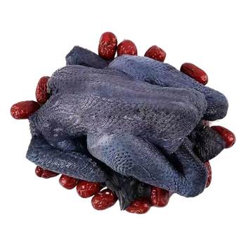 Free-range white phoenix black-bone chicken fresh chicken live chicken