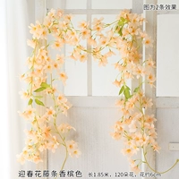 Yingchun Flower Vine Strip Strip Champagne Color