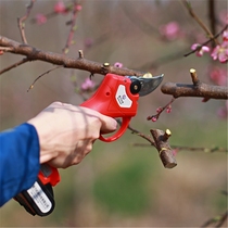 Pruning scissors pruning machine pruning machine electric pruning machine electric fruit tree pruning factory direct sales