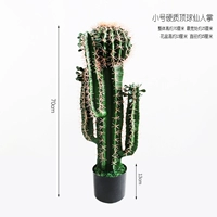 Маленький хитрый шартус