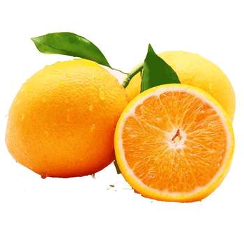 Sf express next day delivery! official flagship store of gannan navel orange