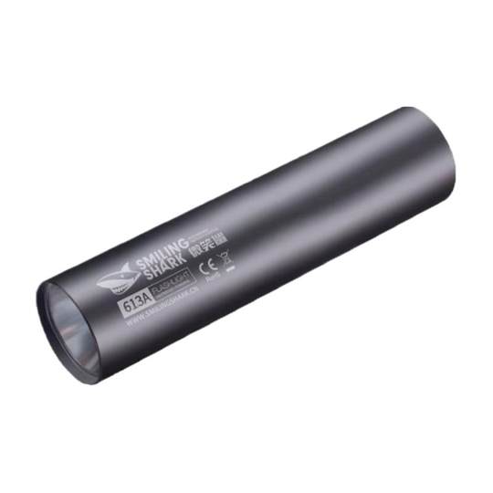 Portable mini bright flashlight | Thousands of people purchased more