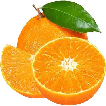 High quality authentic ehime 38 jelly orange sf free shipping