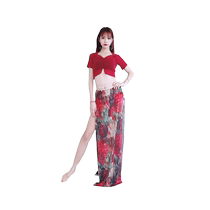 Bai Yaqianhui Summer Belly Dance Practice Costumes Womens Oriental Dance Practice Clothes Slit Long Skirt Suit