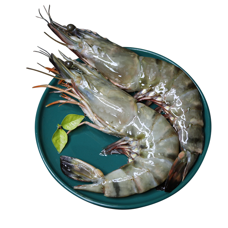 Black tiger shrimp, extra large monodon tiger shrimp, fresh and quick-frozen